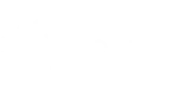 Domino Data Lab